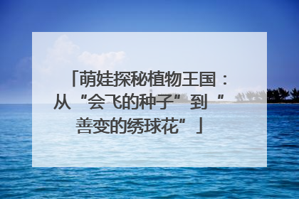 萌娃探秘植物王国：从“会飞的种子”到“善变的绣球花”